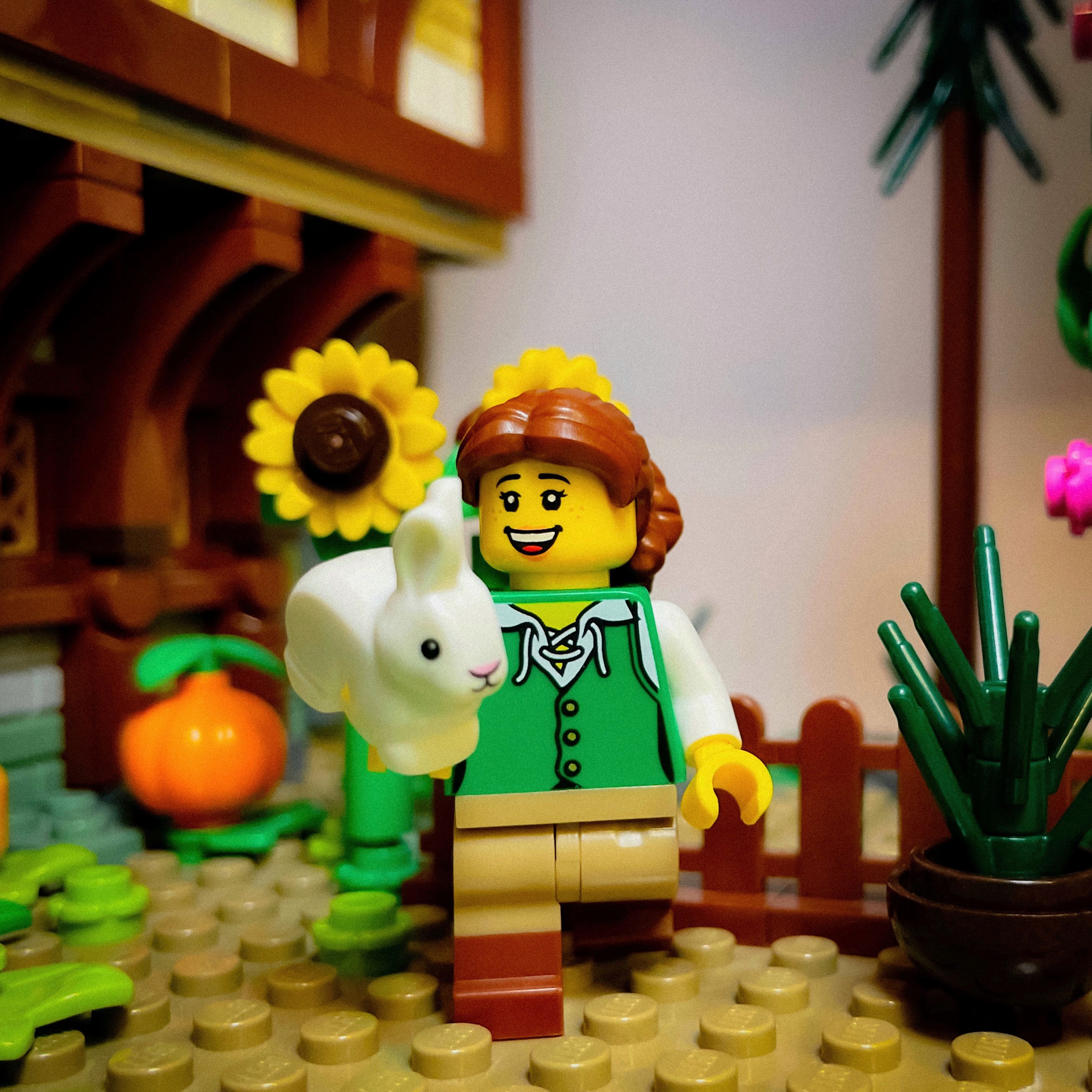 A brick-built scene by @veroniquetoys, from the world Medieval/Fantasy/Castle