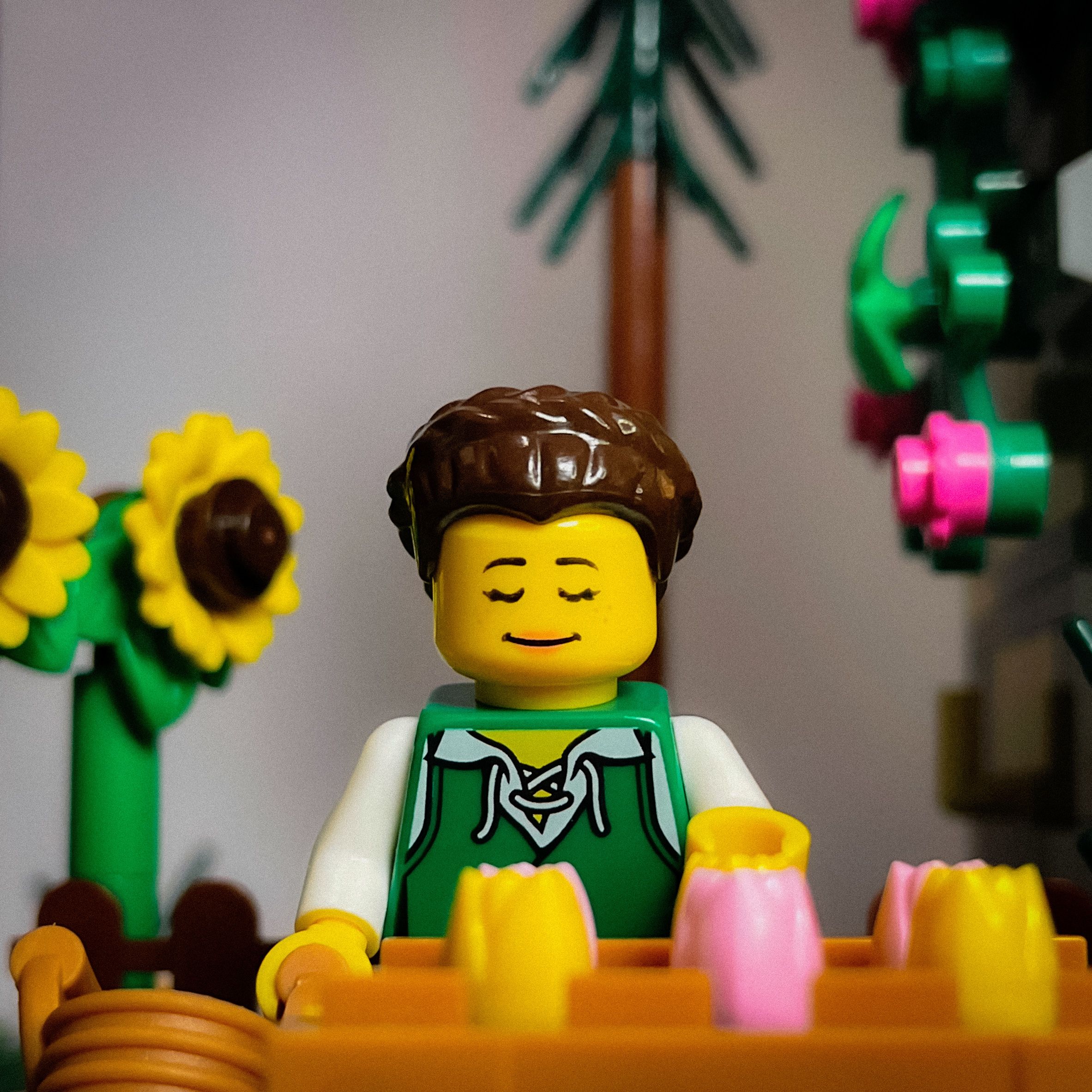 A brick-built scene by @veroniquetoys, from the world Medieval/Fantasy/Castle