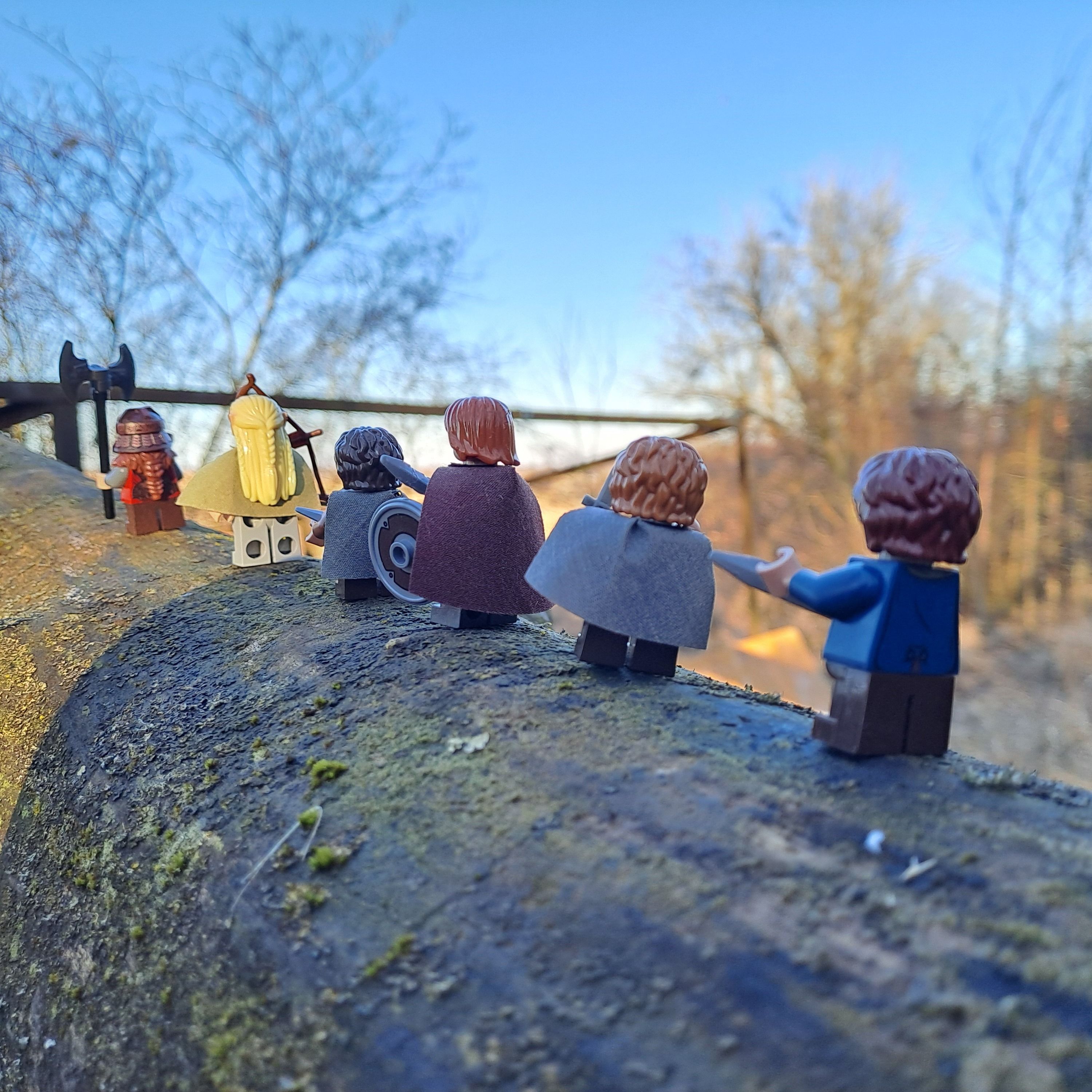 The Fellowship pauses on the ridge, gazing out over the wild lands ahead — the road stretches on, and so does their journey…