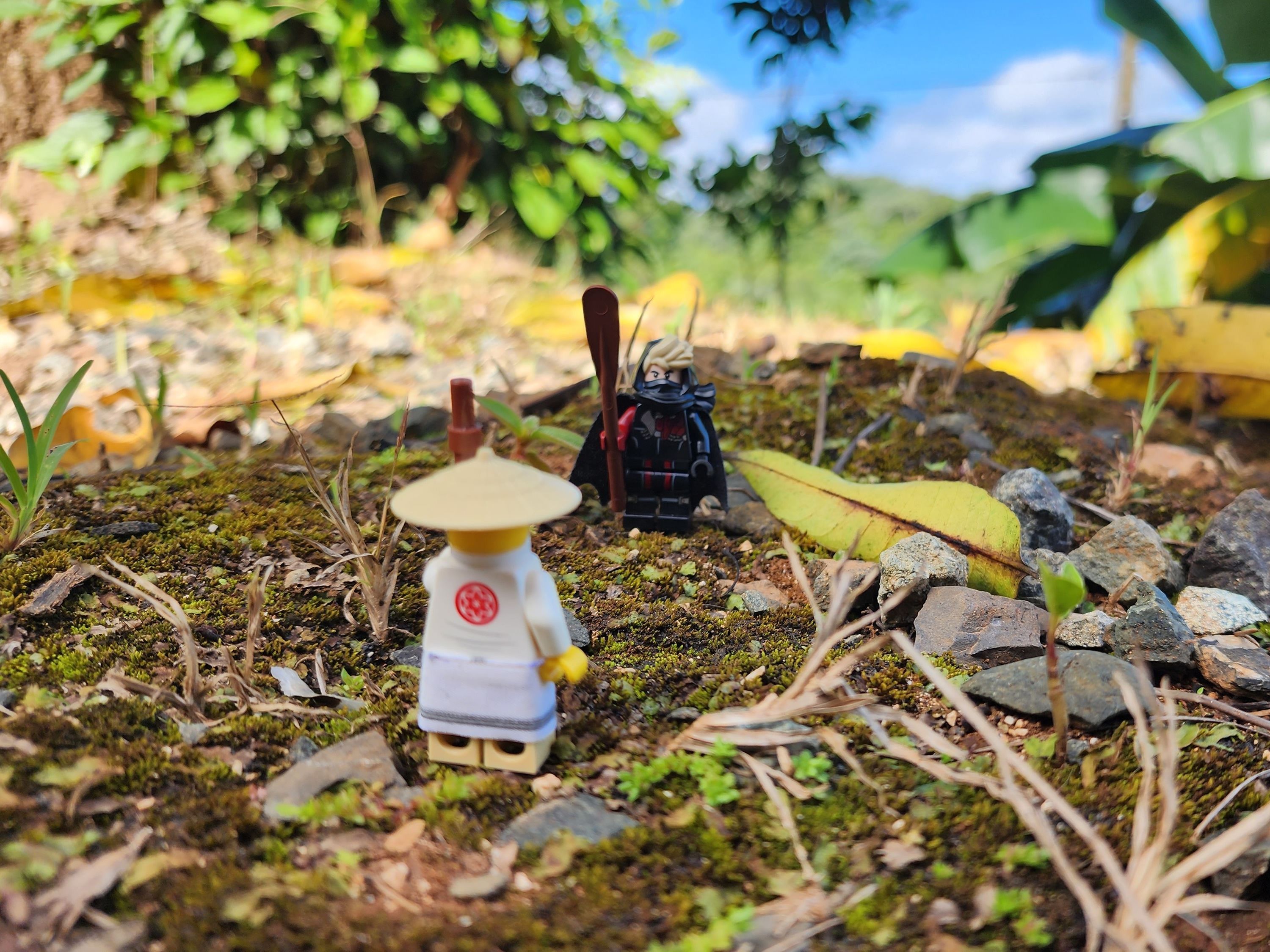 "Lesson One: Master Wu"

Ronin: But this is an oar...

Wu: SILENCE! Let us begin. (slaps Ronin in the head with his…