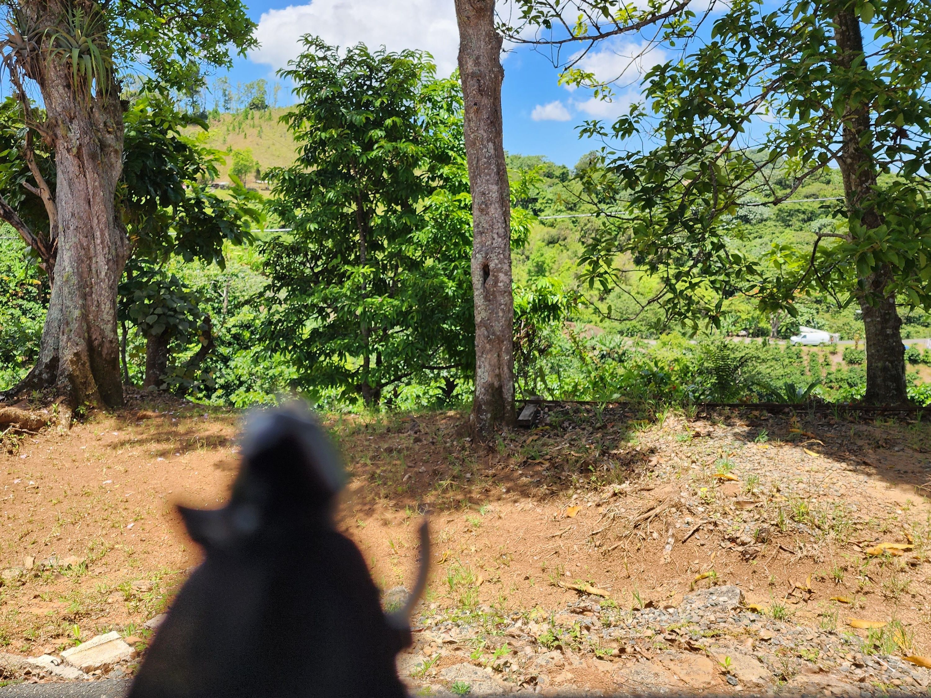"Lesson One: Master Wu"

And it has become apparent that he needs to practice with different weapons and adapt to different…