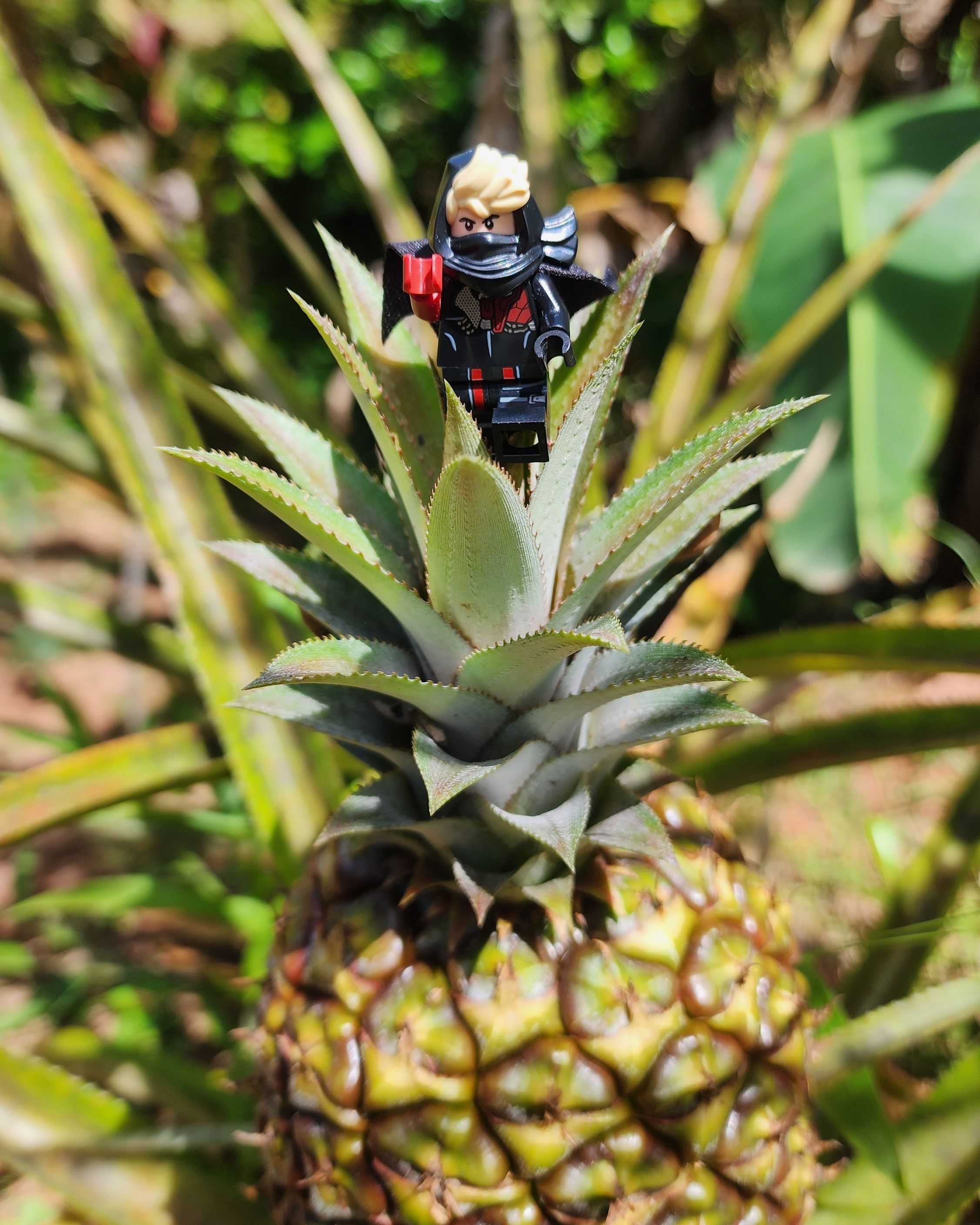 "Lesson Two: Balance"

Wu: Lesson No. 2. Balance you must find within, if you aspire to master all weapon types. You must…