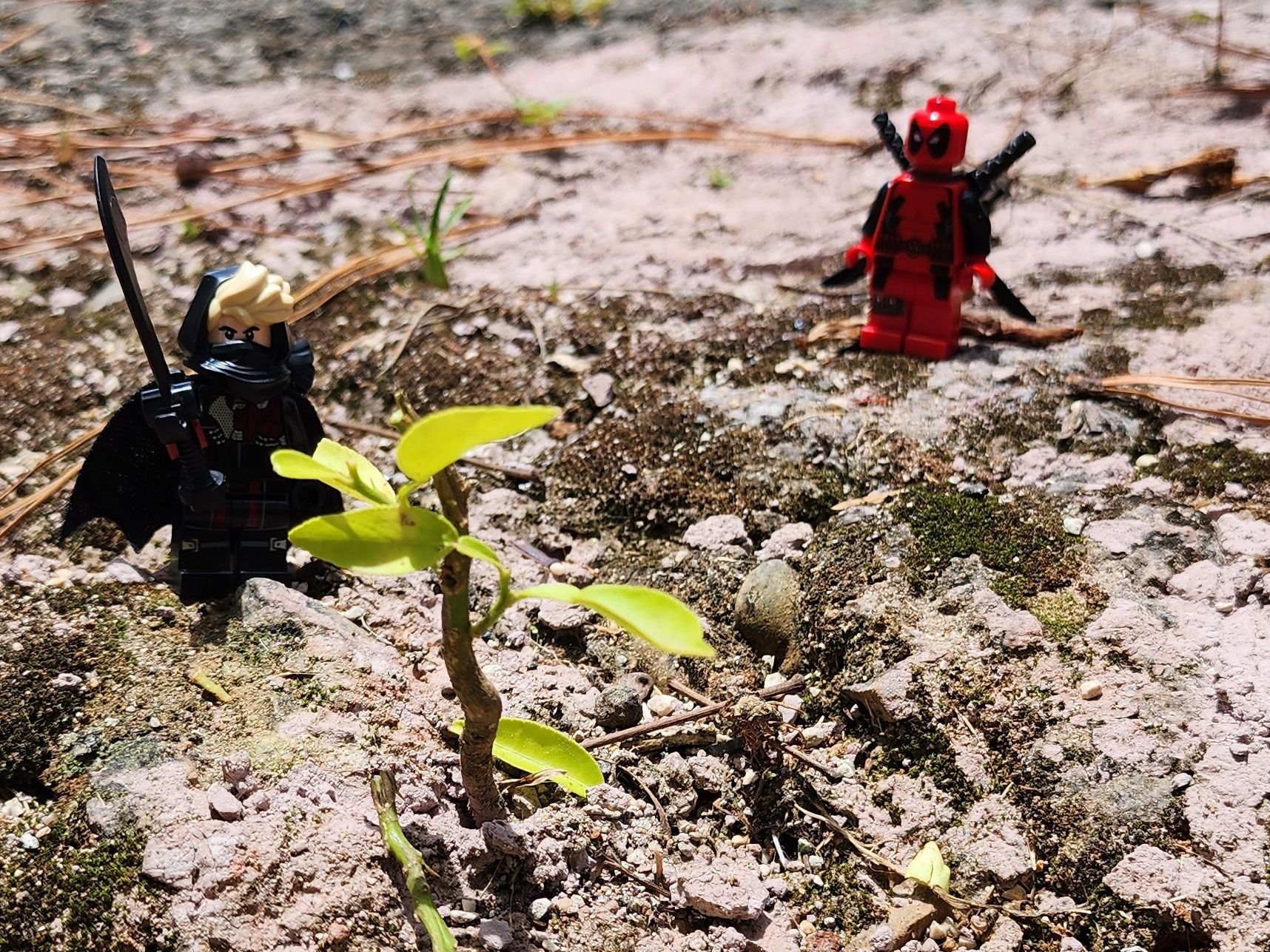 "Lesson Six: Accuracy"

DP: Go ahead. Give it a try.

Ronin: (- -) *Breathes* Be one with your weapon. — a brick-built scene…