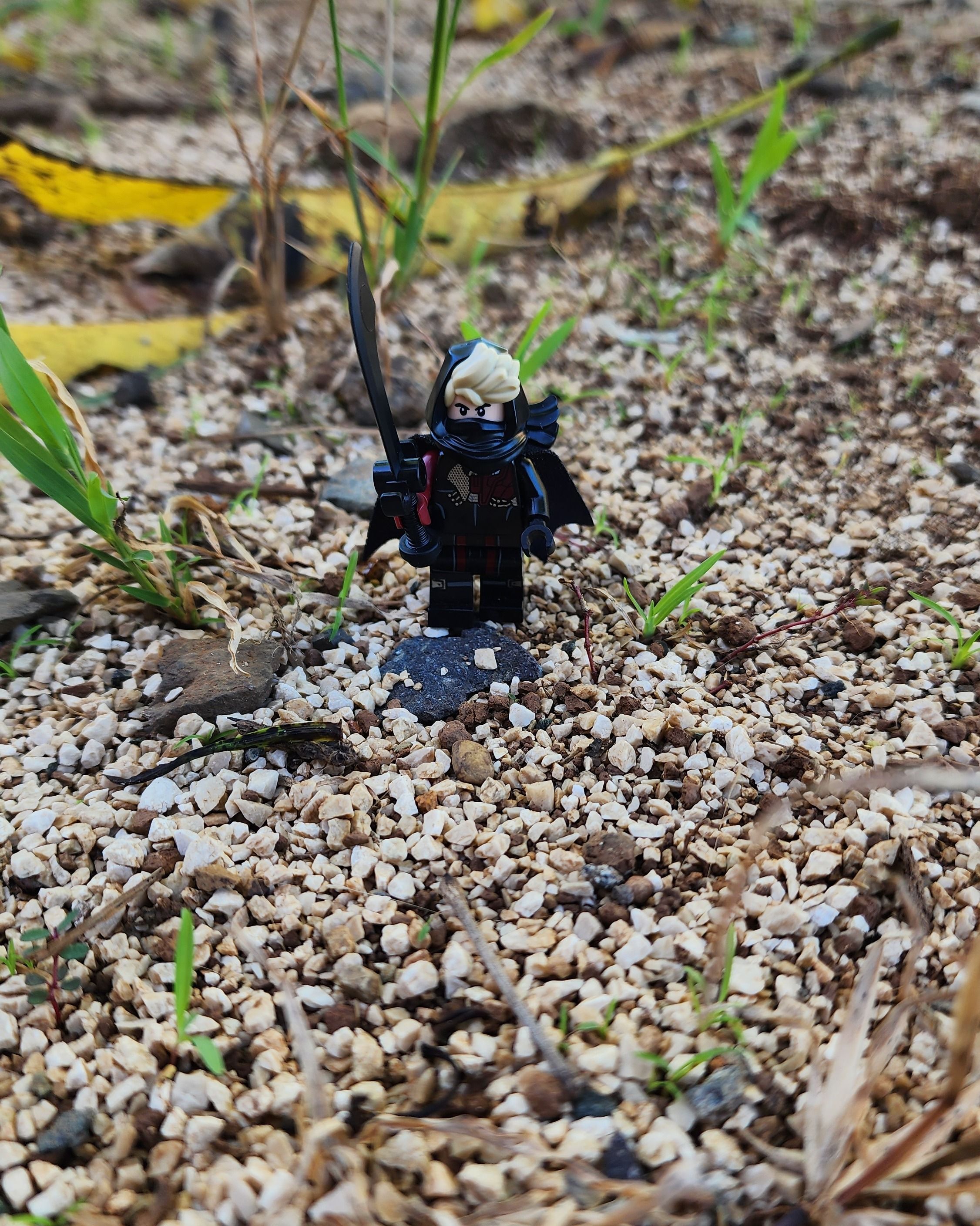 "Lesson One: Master Wu"

He sets out on his path. — a brick-built scene by @brickyric, from the world Ronin's Adventures