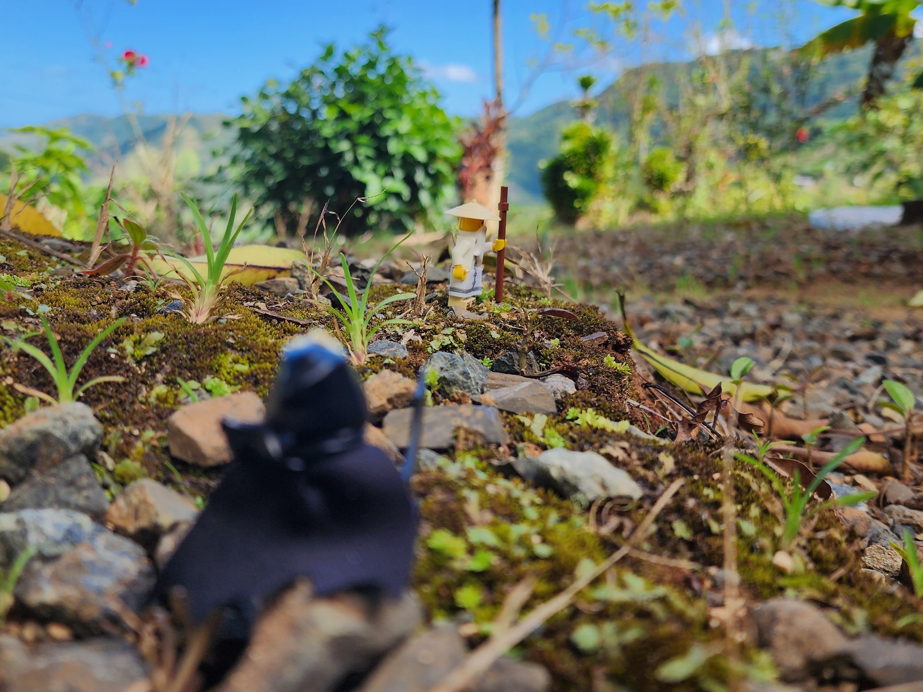 "Lesson One: Master Wu"

Finally, he sees the master at the top of the hill. He has come a long way and hopes this master…