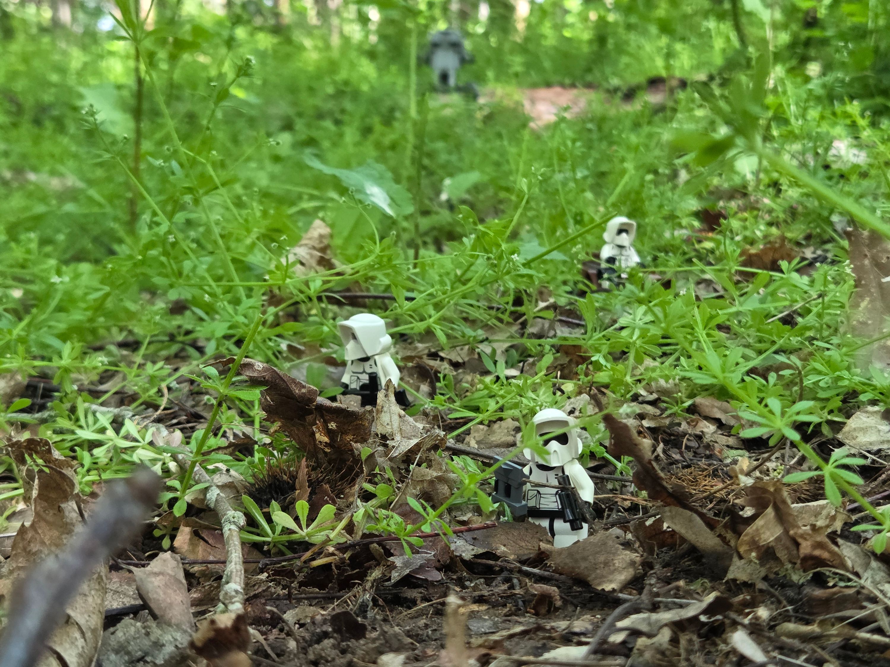 Scouring for Rebels & Ewoks — a brick-built scene by @khaiekdvoukdamezhniy, from the world Star Wars - Endor